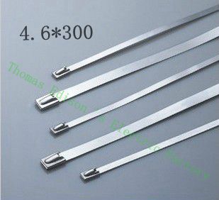 100pcs 4.6mmx300mm自鎖不銹鋼拉鍊拉鍊拉鍊鎖定綁帶高質量