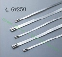 高質量100pcs 4.6mmx250mm自鎖自鎖不銹鋼拉鍊拉鍊拉鎖領帶包裹