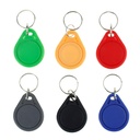 100pcs 13.56MHz RFID鑰匙串密鑰FOB MF MF 1K IC NFC KEYFOBS接近智能門AC的鑰匙標籤卡