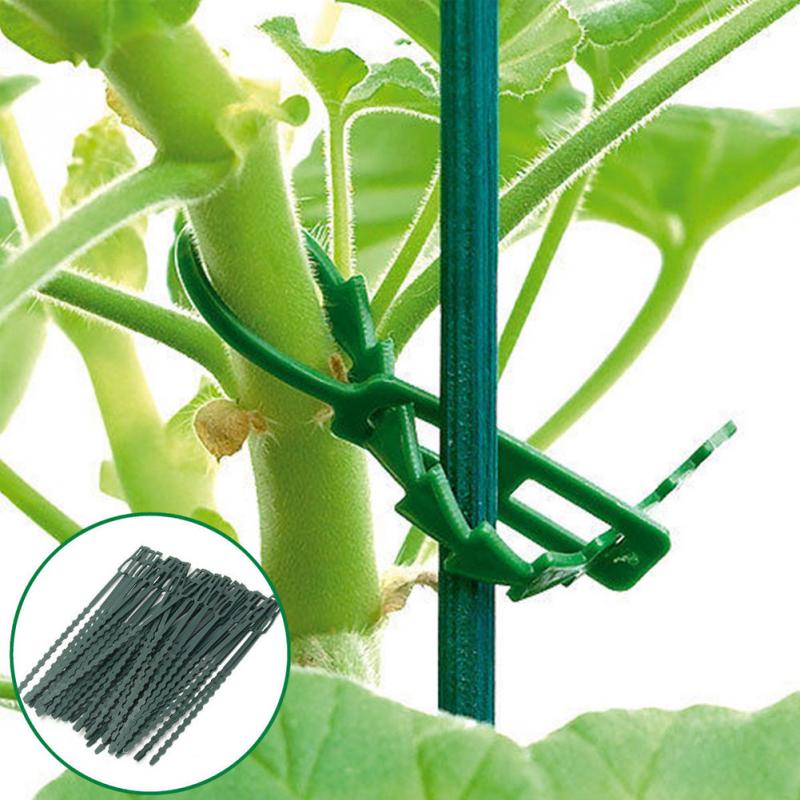50pcs/袋50X可重複使用的花園塑料植物電纜紮帶可調式樹木支撐花園